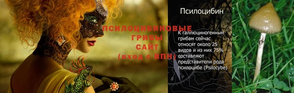кокаин перу Вяземский