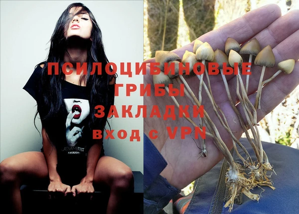 прущая мука Вязники