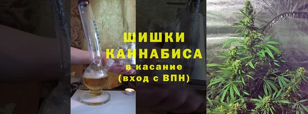 стаф Верея