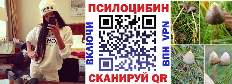 Псилоцибиновые грибы мицелий Зарайск